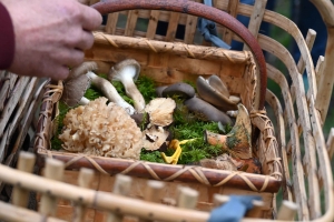 Saint-Bonnet-le-Froid : une balade épicurienne au pays du village gourmand