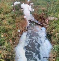 Sainte-Sigolène : le mystère de la mousse dans le ruisseau percé ?