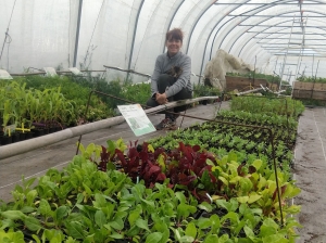 Saint-Romain-Lachalm : des plants de légumes bio à saisir chez « Un Jardin à croquer »