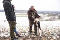 Saint-Romain-Lachalm : les chiens ont montré leur savoir-faire à la chasse