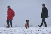 Saint-Romain-Lachalm : les chiens ont montré leur savoir-faire à la chasse