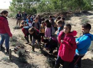 Beauzac : entre océan et dunes pour les CM2 de l&#039;école publique