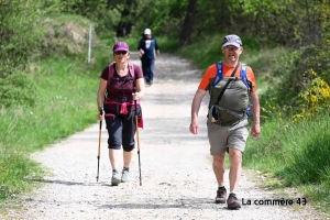 Bas-en-Basset : une rando de 8 km le 26 novembre autour des étangs