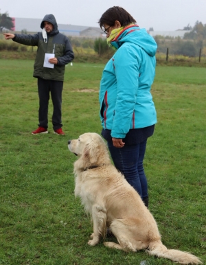 Yssingeaux : la crème de la crème au concours canin d&#039;obéissance dimanche