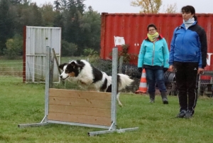 Yssingeaux : la crème de la crème au concours canin d&#039;obéissance dimanche