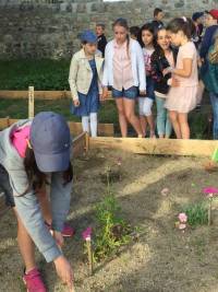 Saint-Pal-de-Mons : un potager à l&#039;école Saint-Joseph