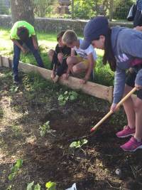 Saint-Pal-de-Mons : un potager à l&#039;école Saint-Joseph