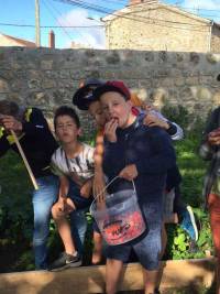 Saint-Pal-de-Mons : un potager à l&#039;école Saint-Joseph