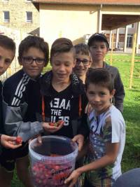 Saint-Pal-de-Mons : un potager à l&#039;école Saint-Joseph