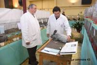 Yssingeaux : le palmarès de l&#039;exposition d&#039;aviculture est connu