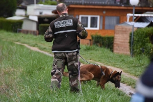 Retournac : porté disparu, un septuagénaire retrouvé au Mont Gerbizon