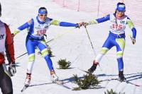 Ski nordique : les photos du 34e Marathon du Mézenc