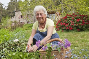 Riotord : une balade le 27 juin pour aller cueillir des plantes sauvages alimentaires