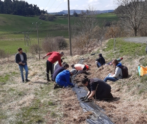 Chantier participatif de plantation de haies à Freycenet-la-Tour