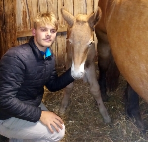 Beaux : Pierre Moulin engagé au Salon de l&#039;agriculture aux Ovinpiades des jeunes bergers