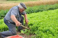 Nécrologie : une figure du marché d&#039;Yssingeaux a disparu