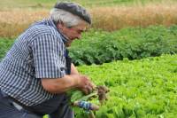 Nécrologie : une figure du marché d&#039;Yssingeaux a disparu