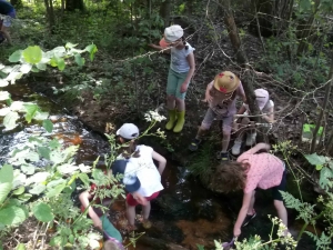 Lapte : les écoliers du Petit Suc sensibilisés au milieu aquatique