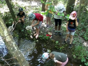 Lapte : les écoliers du Petit Suc sensibilisés au milieu aquatique