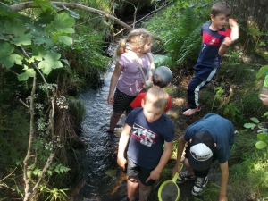 Lapte : les écoliers du Petit Suc sensibilisés au milieu aquatique