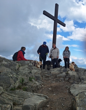 Les Estables : cinq chiens à la balade canine solidaire