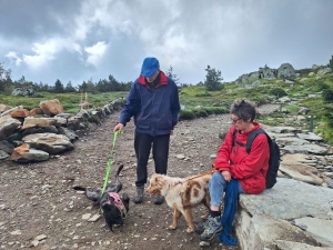 Les Estables : cinq chiens à la balade canine solidaire