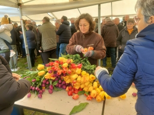 Moudeyres : les tulipes contre le cancer s&#039;envolent comme des petits pains