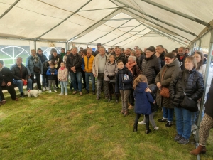 Moudeyres : les tulipes contre le cancer s&#039;envolent comme des petits pains