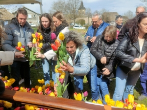 Moudeyres : les tulipes contre le cancer s&#039;envolent comme des petits pains