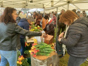 Moudeyres : les tulipes contre le cancer s&#039;envolent comme des petits pains