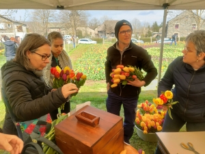 Moudeyres : les tulipes contre le cancer s&#039;envolent comme des petits pains