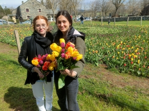 Moudeyres : les tulipes contre le cancer s&#039;envolent comme des petits pains