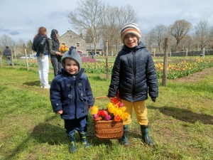 Moudeyres : les tulipes contre le cancer s&#039;envolent comme des petits pains