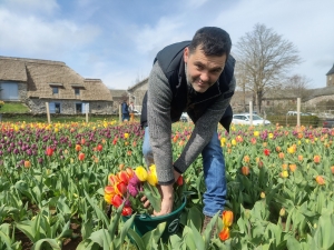 Moudeyres : les tulipes contre le cancer s&#039;envolent comme des petits pains