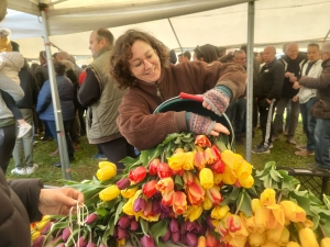 Moudeyres : les tulipes contre le cancer s&#039;envolent comme des petits pains