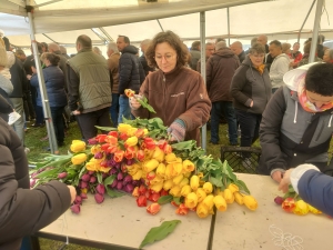 Moudeyres : les tulipes contre le cancer s&#039;envolent comme des petits pains