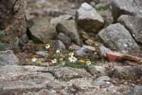 Lapte : quand le village englouti de &quot;Piboulet&quot; refait surface