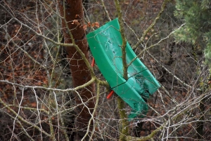 Saint-Julien-du-Pinet : des déchets jetés par-dessus le viaduc sur la voie verte