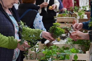 Yssingeaux : le troc&#039;plants permet le renouvellement