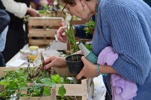 Yssingeaux : le troc&#039;plants permet le renouvellement