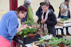 Yssingeaux : le troc&#039;plants permet le renouvellement