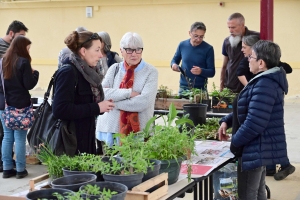 Yssingeaux : le troc&#039;plants permet le renouvellement