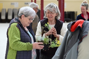 Yssingeaux : le troc&#039;plants permet le renouvellement