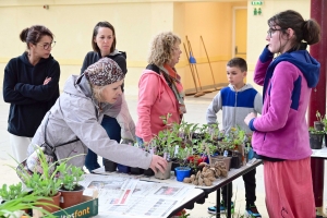 Yssingeaux : le troc&#039;plants permet le renouvellement