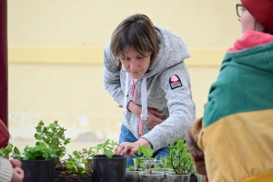 Yssingeaux : le troc&#039;plants permet le renouvellement