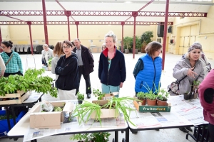 Yssingeaux : le troc&#039;plants permet le renouvellement