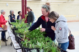 Yssingeaux : le troc&#039;plants permet le renouvellement