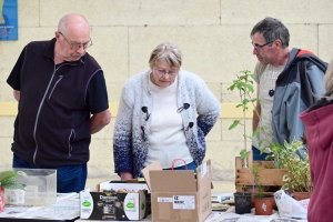 Yssingeaux : le troc&#039;plants permet le renouvellement