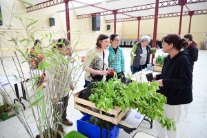 Yssingeaux : le troc&#039;plants permet le renouvellement