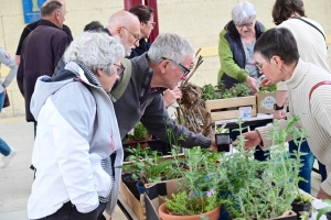 Yssingeaux : le troc&#039;plants permet le renouvellement